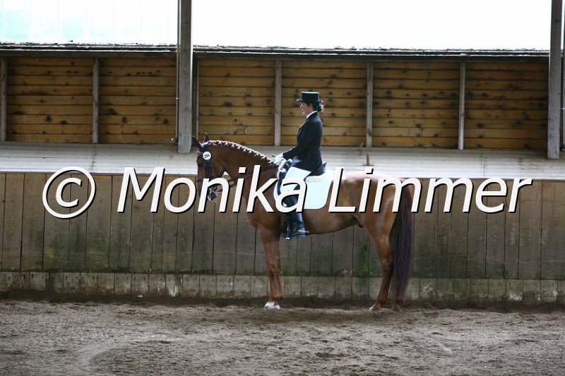 006M5675_Dressurpferde L.JPG